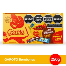 Garoto surtido x 250g